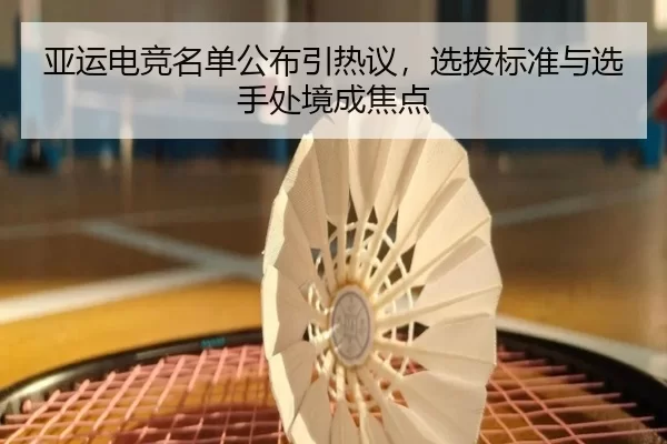 亚运电竞名单公布引热议,选拔标准与选手处境成焦点